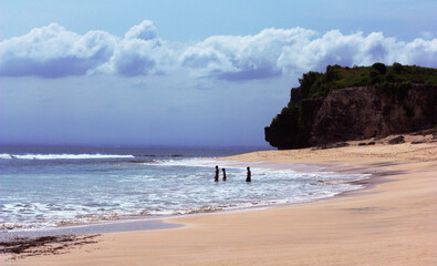 people on the beach