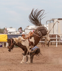 Saddle Bronc Riding At An Australian Country Rodeo