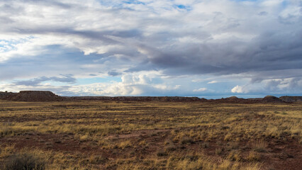 Beautiful Petrified Forest National Park Landscape in March