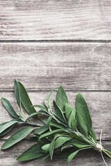 Green sage bunch on wooden table, vertical flatlay, copy space