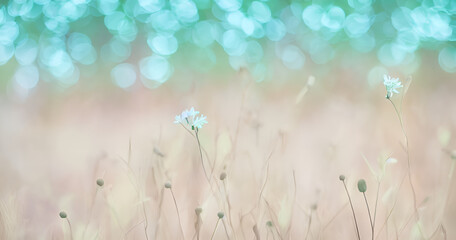 Naturaleza desenfocada © Clavo