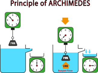 Archimedes principle vector illustration. Floating force illustration