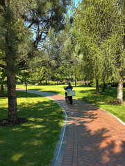 A food delivery man on a moped drives around the park on a winding path