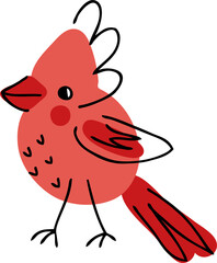 Northern red cardinal bird hand drawn illustration. 
