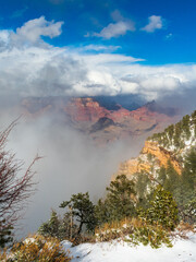 Fototapeta premium Winter in Grand Canyon National Park