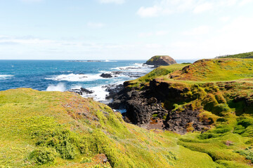The coastline at Phillip Island in Victoria, Australia