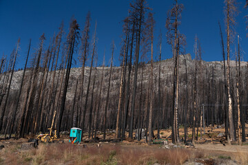 Scorched Aftermath of the Caldor Wildfire in the Sierra Nevada Mountains in 2022