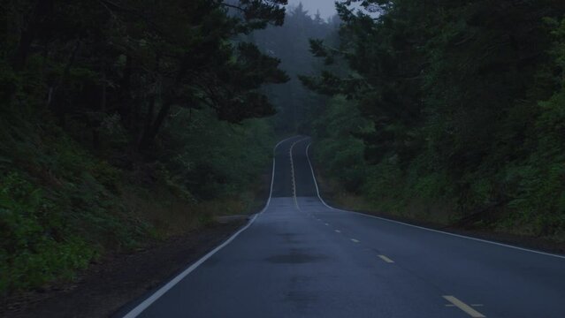 Tracking shot revealing out above two lane highway in dark rainforest in Tillamook, Oregon