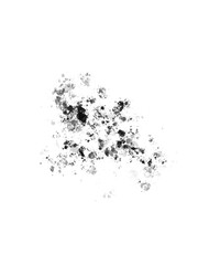 Isolated black ink splatter splashes