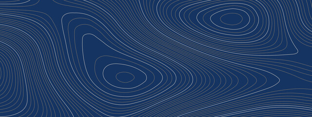 Fototapeta na wymiar The stylized blue abstract topographic map with lines and circles background. Topographic map and place for texture. Topographic gradient linear background with copy space. Vector illustration