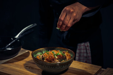 Japanese Katsudon Food, pork cutlet rice bowl ,Dark Tone
