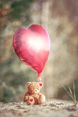 A stuffed plush teddy bear with a heart shaped foil balloon sitting lonely in the middle of a path...