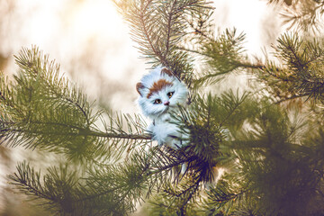Cute portrait of a stuffed plush cat on a branch looking curiously into the camera in a forest outdoors. Fantasy setting
