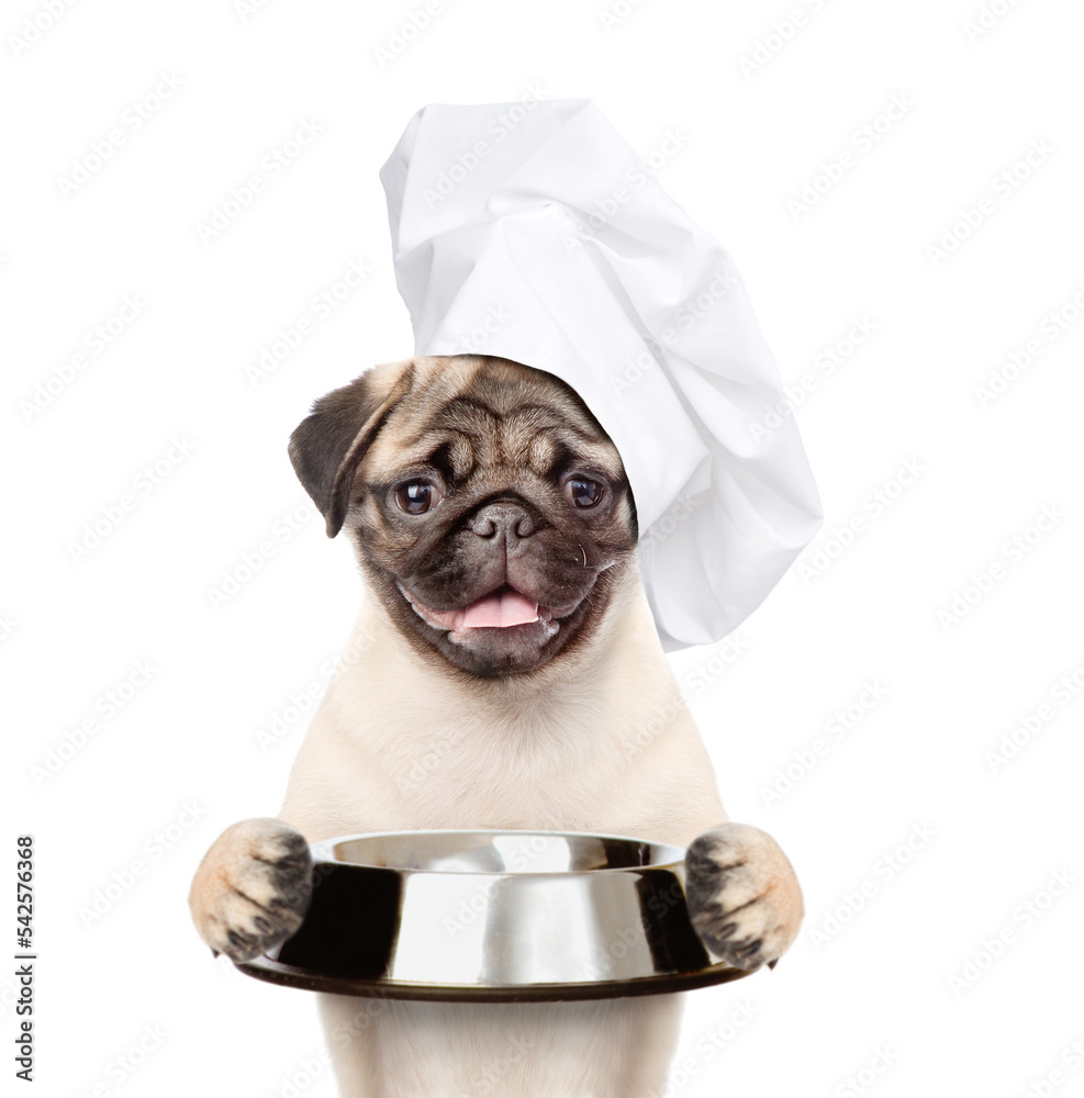Poster funny puppy in chef's hat holding empty bowl. isolated on white background