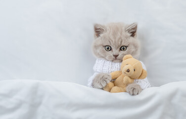 Cute kitten wearing warm sweater hugs favorite toy bear under white warm blanket on a bed at...