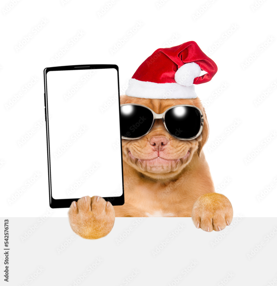 Poster smiling mastiff puppy wearing sunglasses and santa hat holds big smartphone with white blank screen 
