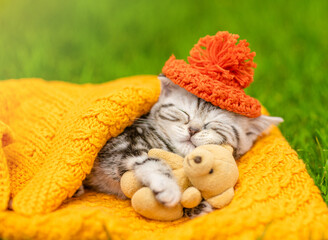 Cute kitten wearing warm hat hugs favorite toy bear and sleeps on plaid on green summer grass