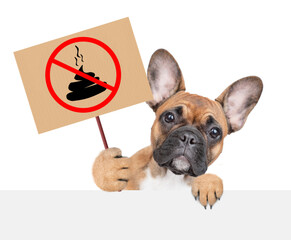 French bulldog puppy holds sign 