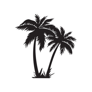 Palm tree vector icon isolated white background, double palm tree silhouette 