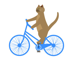 サイクリングを楽しむ自転車に乗る茶猫　背景透明