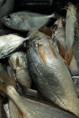 Uncooked Fresh fish in traditional Asian markets, especially in Indonesia

