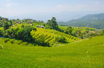 Fototapeta premium Tribal rice terrace and houses on the hill in the north of Thailand