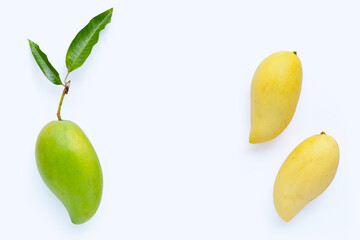 Mango on white background. Copy space