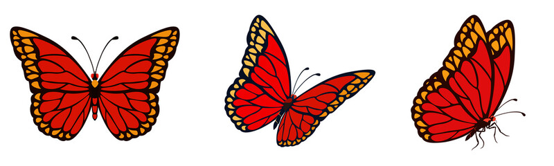 Butterfly illustration transparent background 나비 일러스트 real pattern red