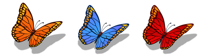 Butterfly set illustration transparent background with shadow real pattern perspective