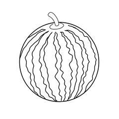 Watermelon fruit sketch. This image is for drawing practice for children.