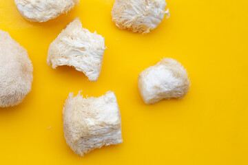 Fresh rare lion's mane mushroom