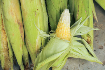 a group of golden corn whose skin has been peeled and photographed on a leaf