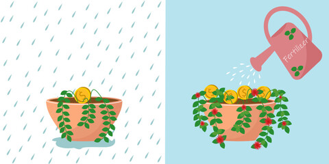 Financial growth illustration with rain, fertilizer, coins and plants in flower pot