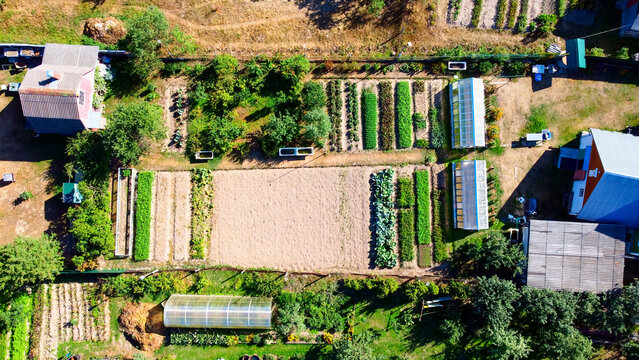 Vegetable Garden View From Above