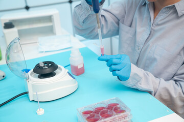 a young female laboratory assistant in a microbiological laboratory examines the resistance of...