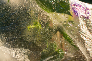 Obraz premium flowers under a film with water drops,a background image or a screensaver