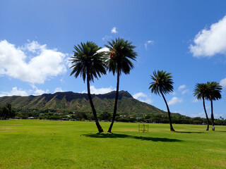 Palm trees in Kapiolani Park with Diamond Head and clouds in the distance