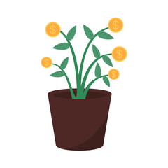 Illustration graphic of Coin Interest Flower. Perfect for banner, social media, etc.