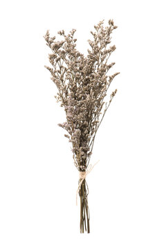 Dried Caspia flowers bunch