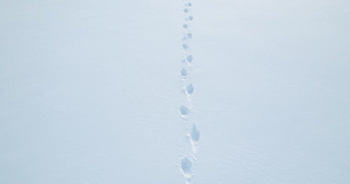 Footprints of human footsteps on the white snow. Deep footprints. Winter season.