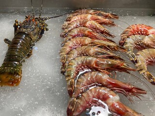 Fresh seafood is laid out on an ice pad on an aluminum tray. Lobster and huge king prawns. Fish market. Service of expensive restaurant. Offered menu. Marine reptiles close-up. Big shrimps and lobster