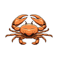 red crab vector on white background