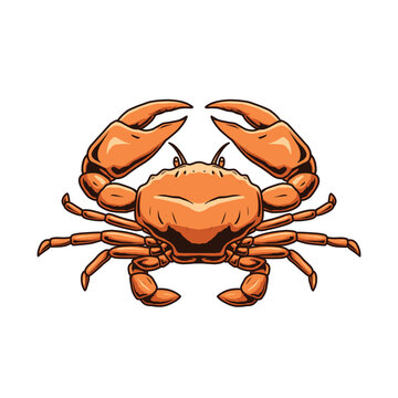 red crab vector on white background