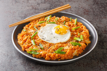 Korean kimchi fried rice with egg, green onion and sesame close-up on a plate on the table. Horizontal