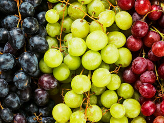 Close up of three different grapes black, green and red. Popular desert. Agriculture industry and food supply chain.