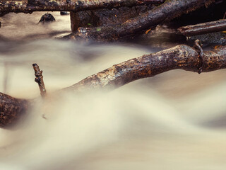 Small creek with blurred water surface. Nature scene with small river. Calm and relaxing mood.