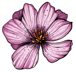 Hand drawn illustration object of blooming flowers.