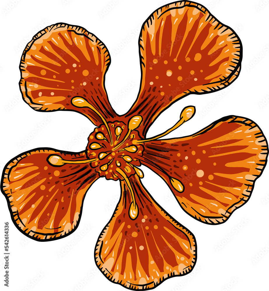 Poster Hand drawn illustration object of blooming flowers.