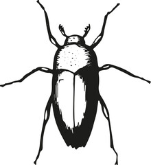 inspiring insect vector