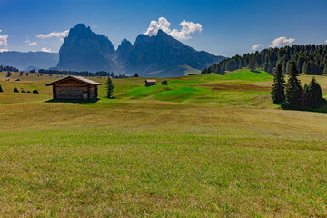 Panoramic view of the Sassolungo Group from the Alpe di Siusi, South Tyrol, Italy